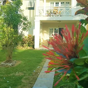 https://shades.comcaribbean.com